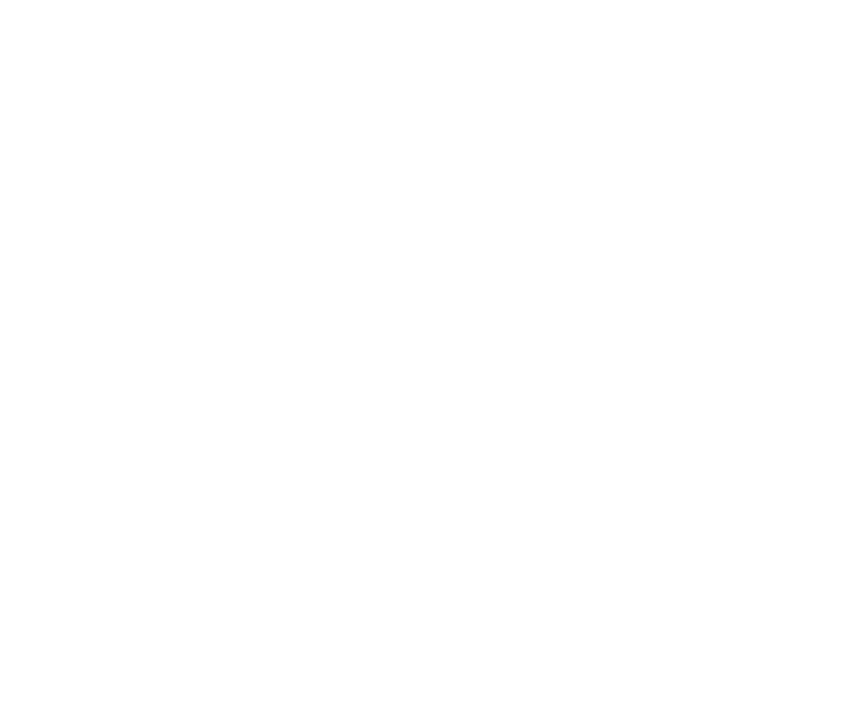 Logo BFT Investment Managers